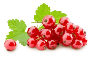 Johannisbeeren Kuppelwieser