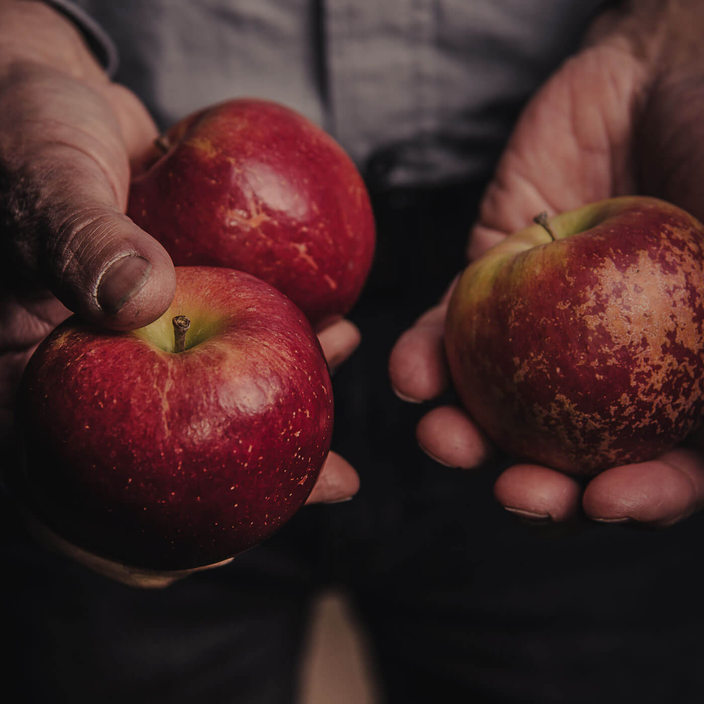 kuppelwieser apfel bild