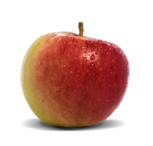 Ecolette Apfel Kuppelwieser
