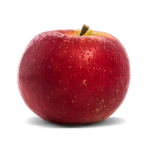 Ladina Apfel Kuppelwieser