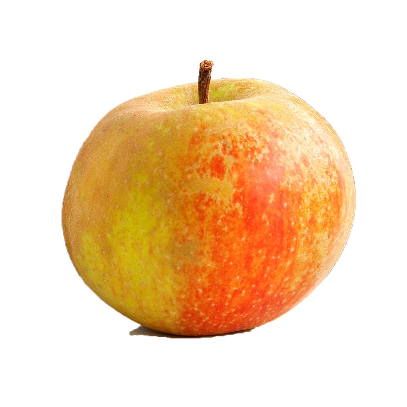 Apfel Boskoop