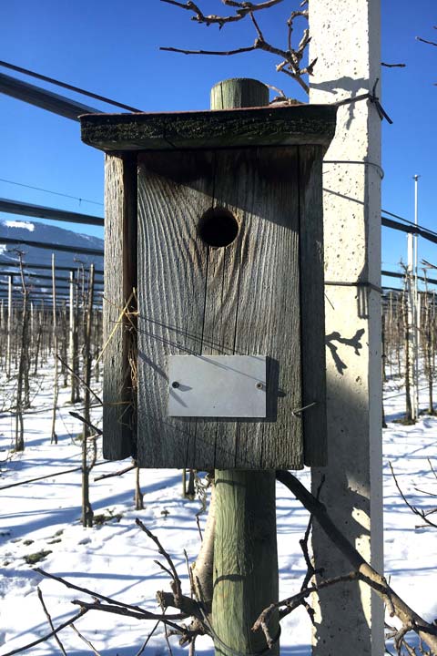 Kuppelwieser Bio Obstbau Vogelhäuschen