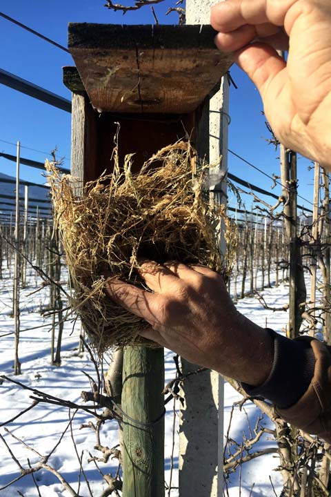 Kuppelwieser Bio Obstbau Vogelhäuschen