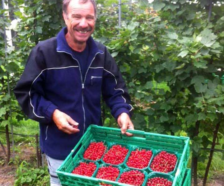 Kuppelwieser Johannisbeeren