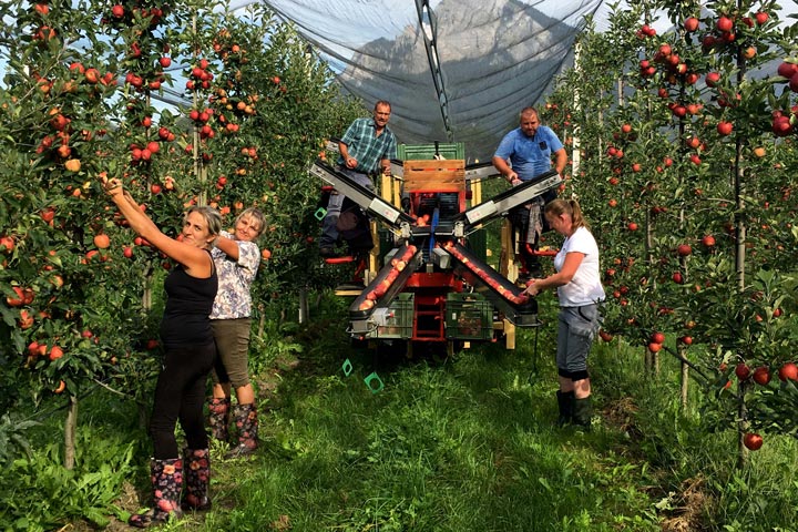 Kuppelwieser Obstbau Pflückmaschine