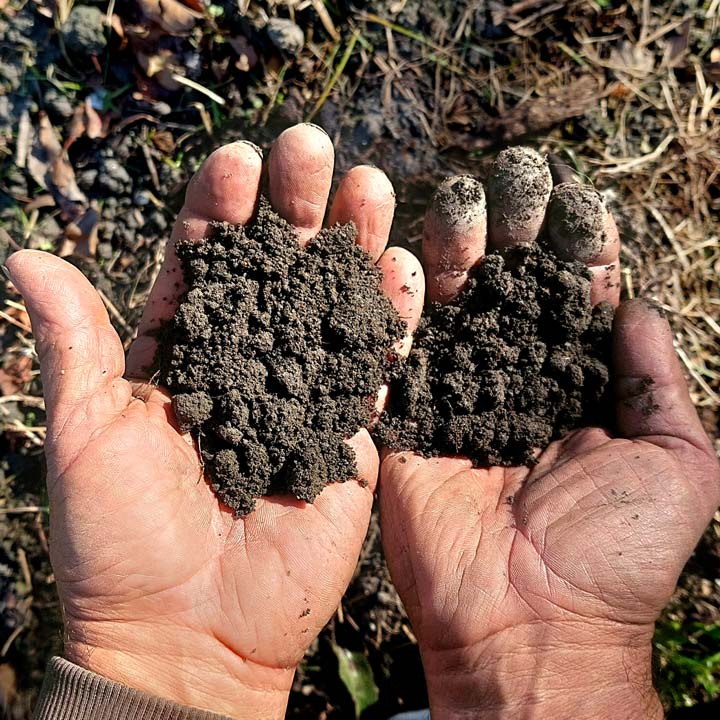 Kuppelwieser Biodynamische Landwirtschaft Demeter