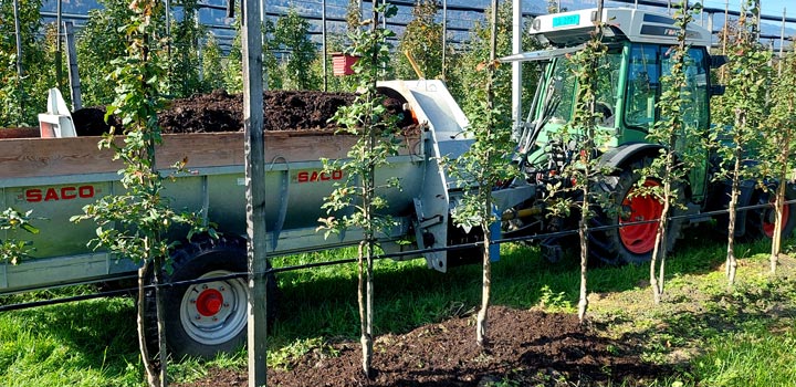 Kuppelwieser Kompost für Apfelbäume