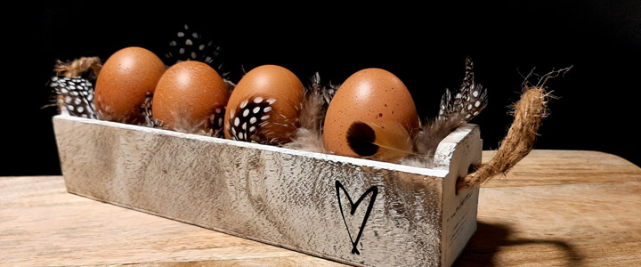 Kuppelwieser Eier