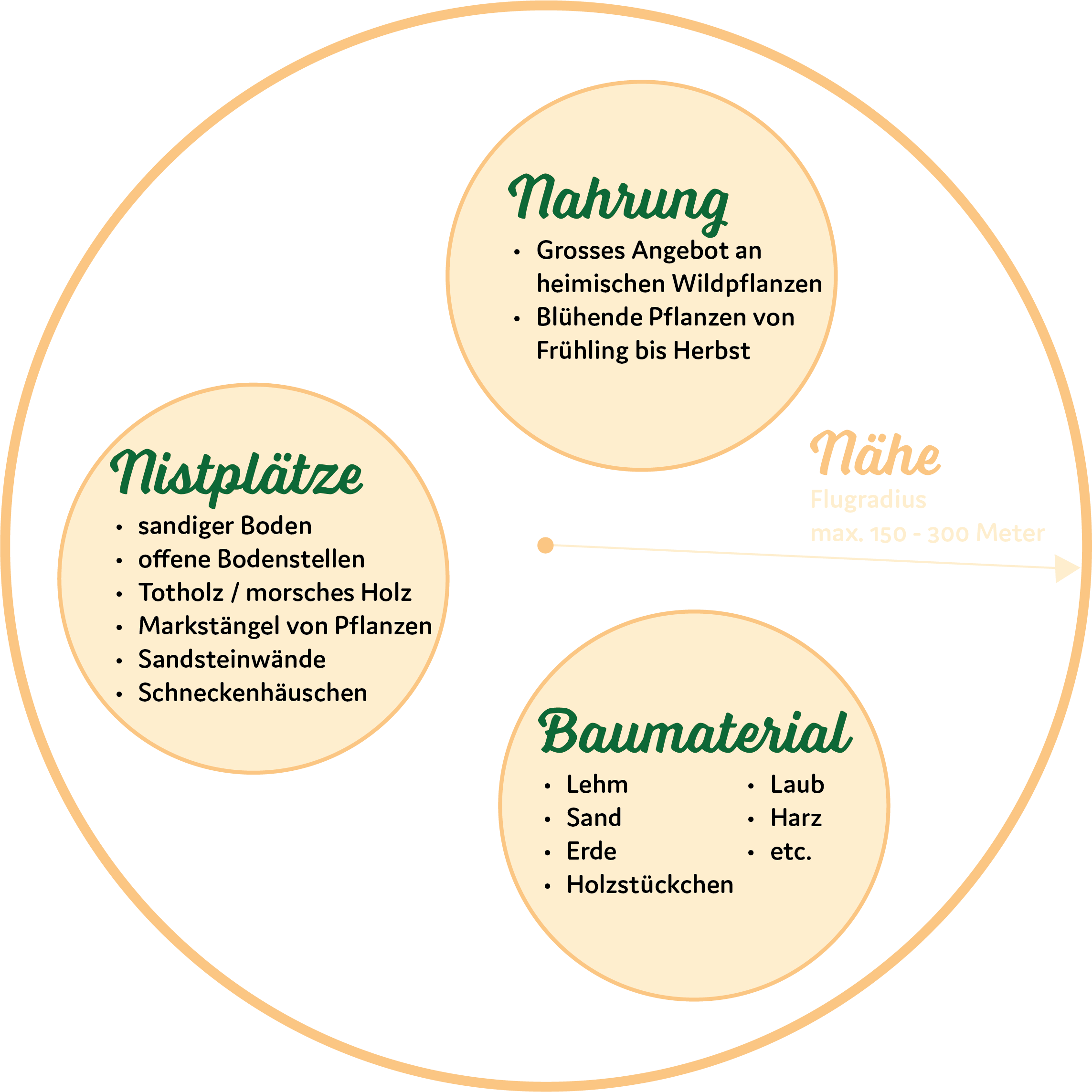 Grafik Wildbienen Lebensraum