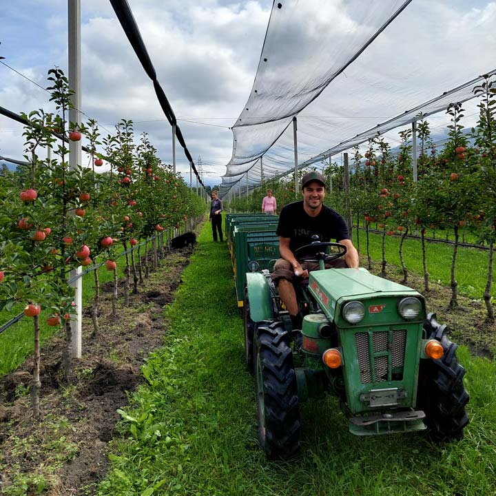 Kuppelwieser Apfelernte Ernte Zügli