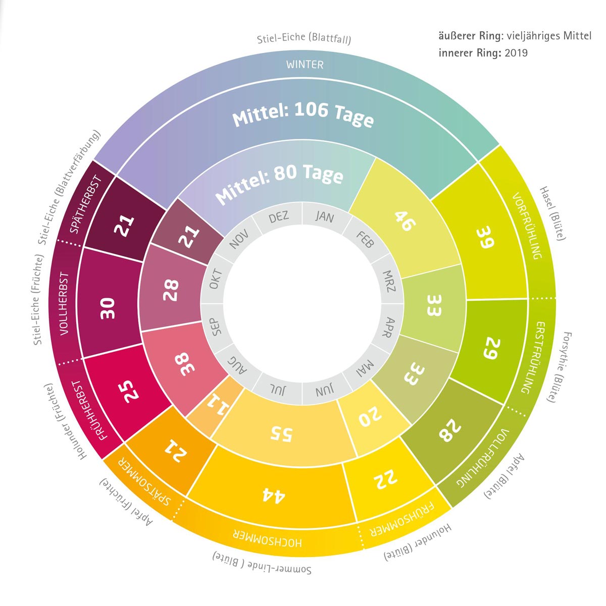 Phänologie. Die Jahreszeit der Pflanzen. Sächsisches Staatsministerium für Umwelt und Landwirtschaft (SMUL) 2019