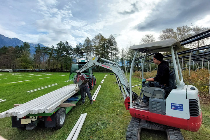 Beerenanlage erweitern Pfähle einschlagen