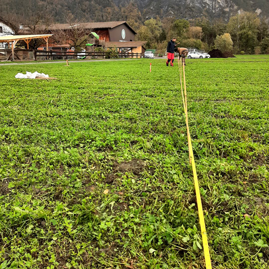 Beerenanlage erweitern ausmessen