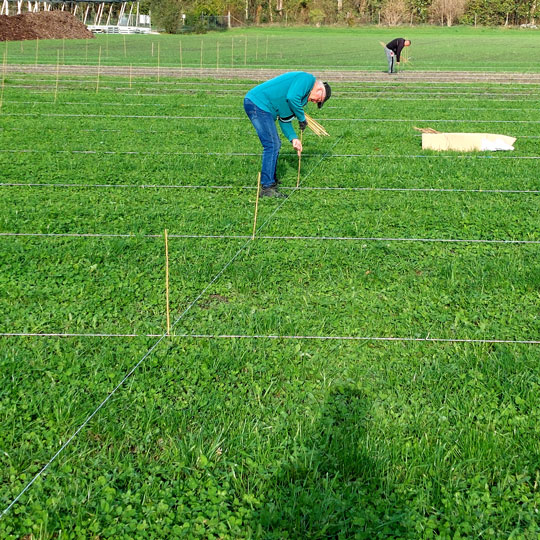 Beerenanlage erweitern ausmessen