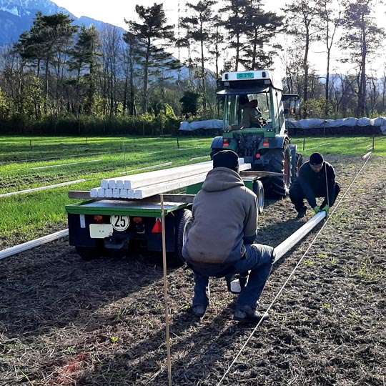 Beerenanlage erweitern Montage