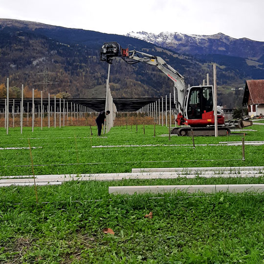 Beerenanlage erweitern Montage