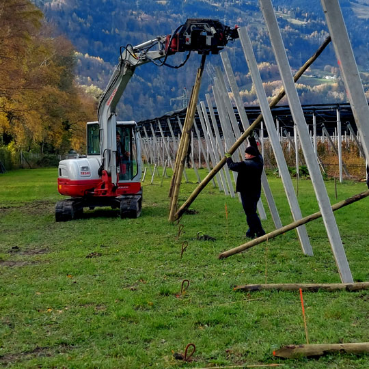 Beerenanlage erweitern Montage