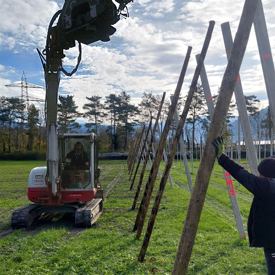 Beerenanlage erweitern Montage