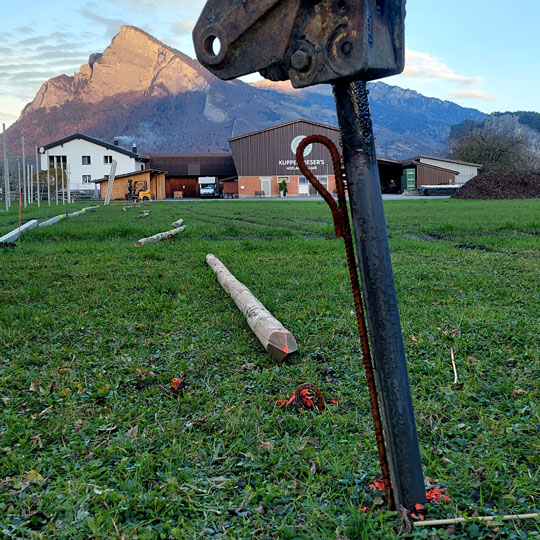 Beerenanlage erweitern Montage