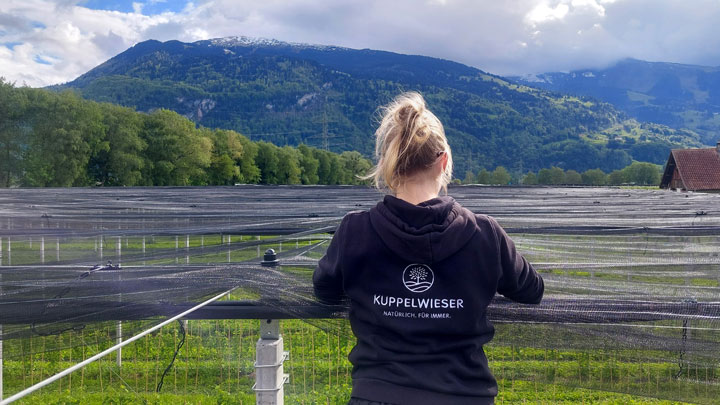 Kuppelwieser Hagelnetz montieren