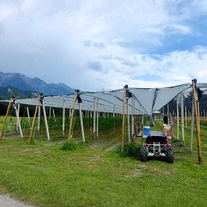 Kuppelwieser Beeren Regenabdeckung