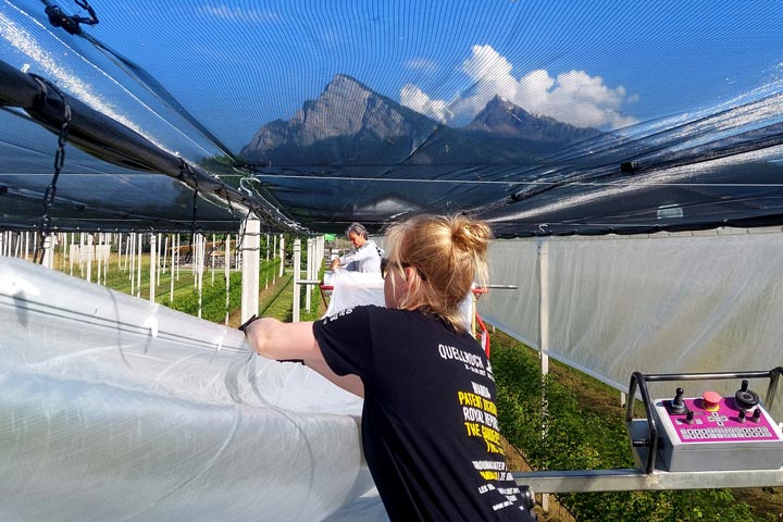 Kuppelwieser Beeren Regenabdeckung