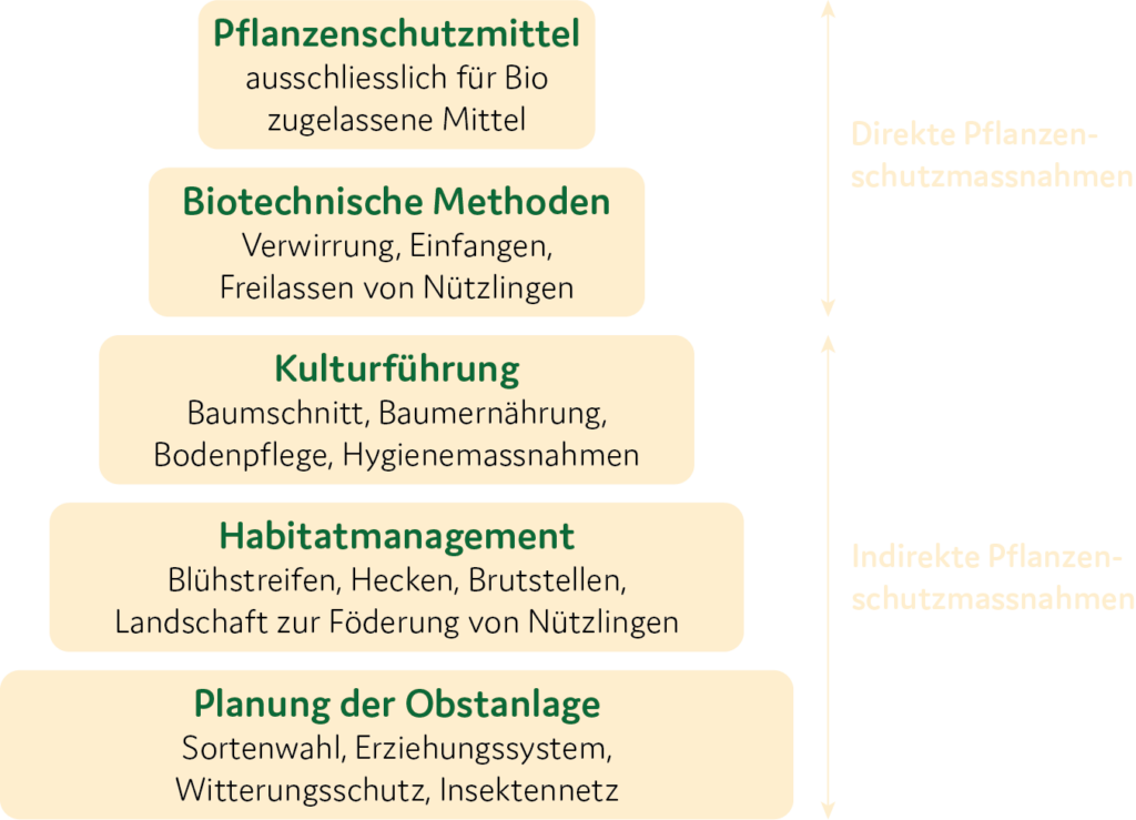 Biologische Pflanzenschutzpyramide