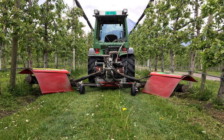 Greenmaster mähen Baumstreifen