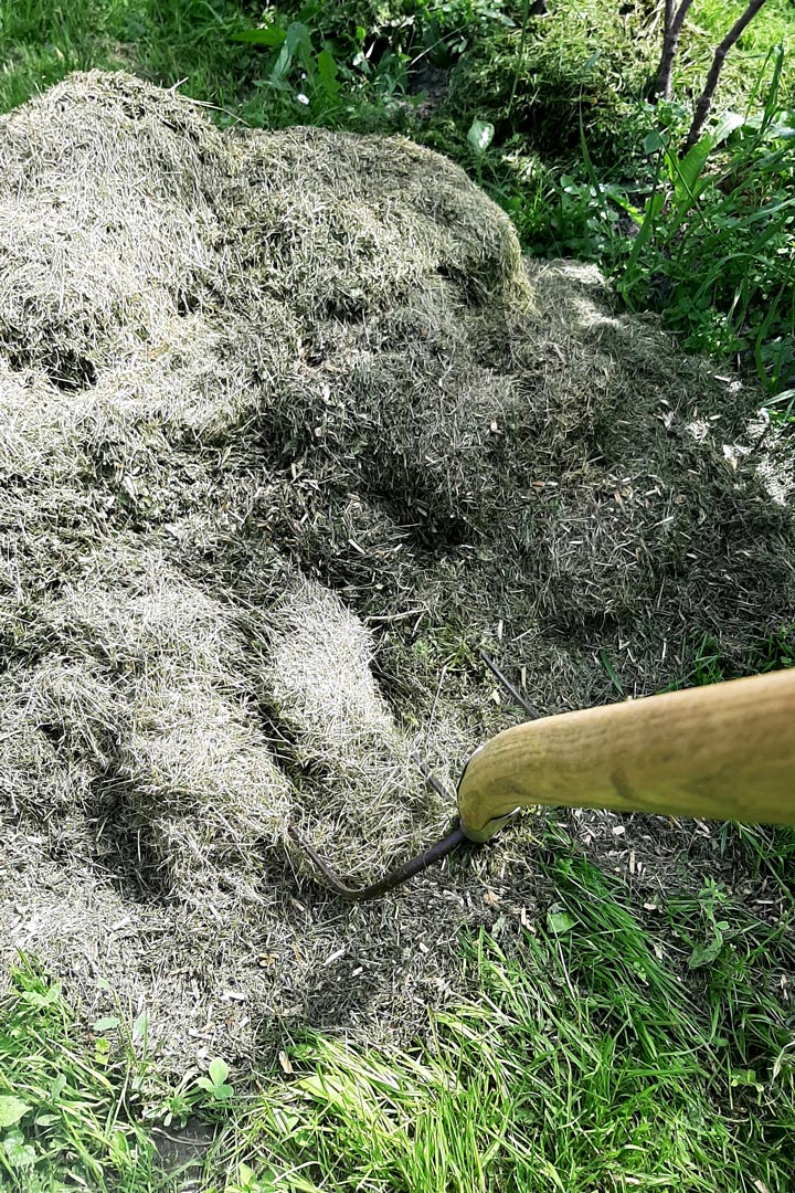 Kuppelwieser Beeren Bodenabdeckung Gras
