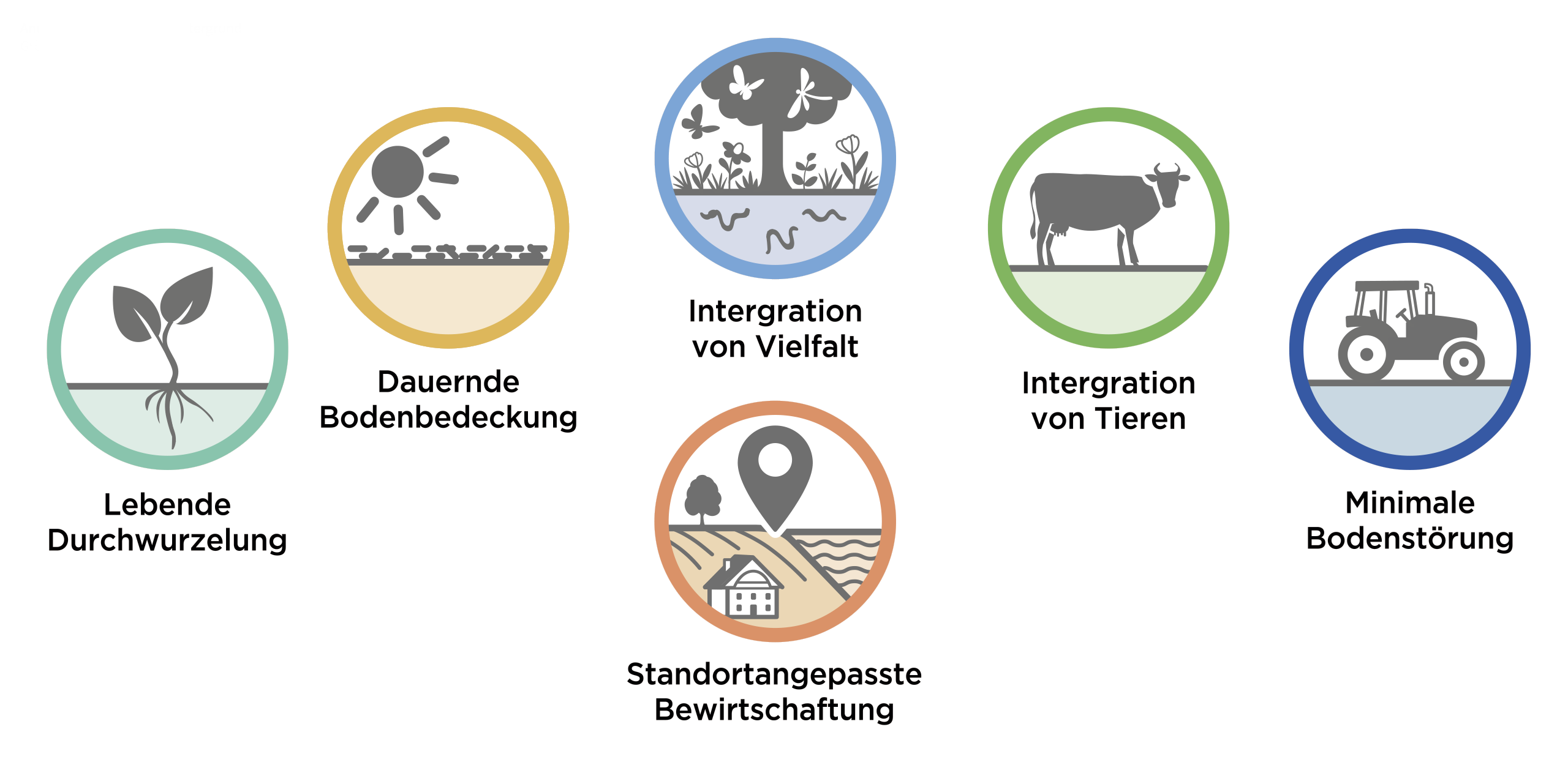 Prinzipien Regenerative Landwirtschaft