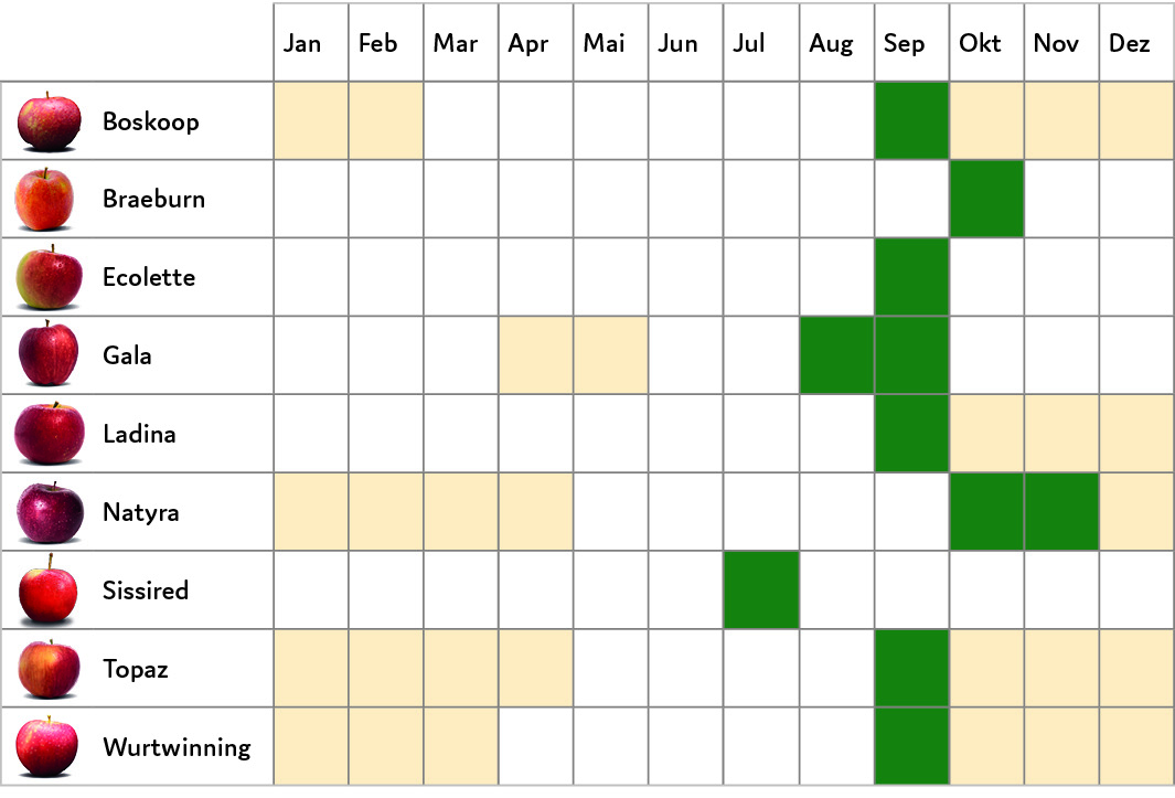 Saisonkalender Kuppelwieser Äpfel