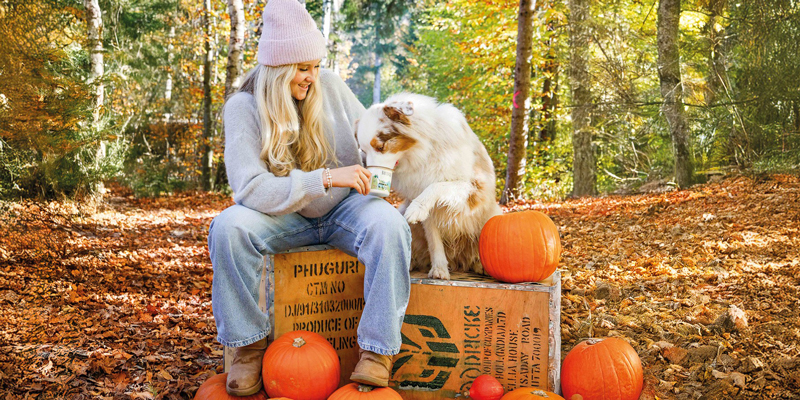 Bioteaque Herbst Tee