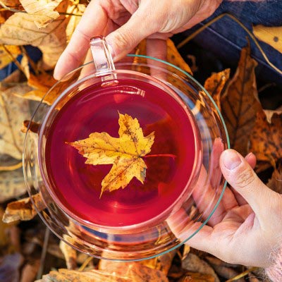 Bioteaque Herbst Tee