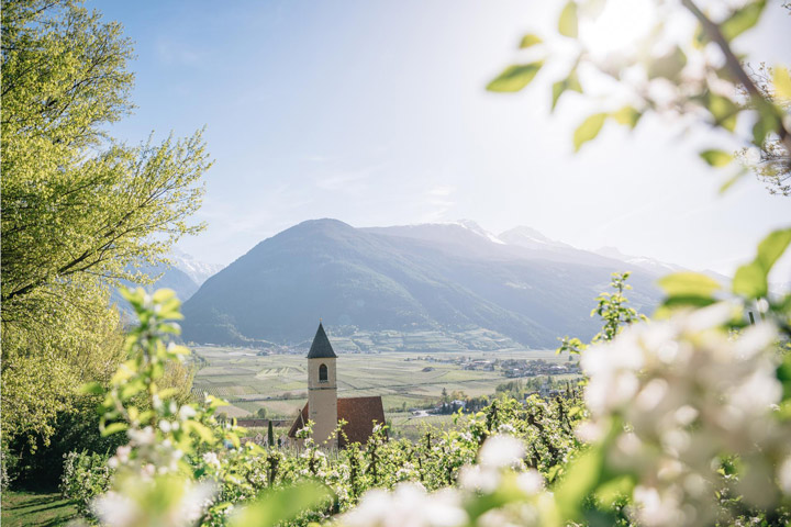 Vinschgau Goldrain Südtirol