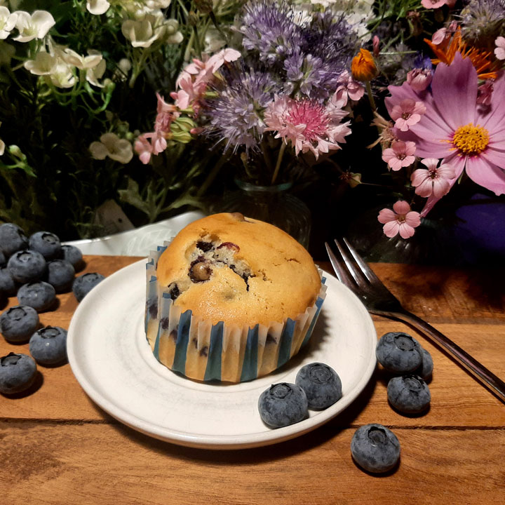 Heidelbeeren Muffin Cupcake