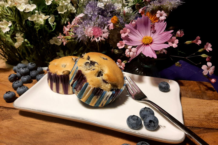 Heidelbeeren Muffin Cupcake