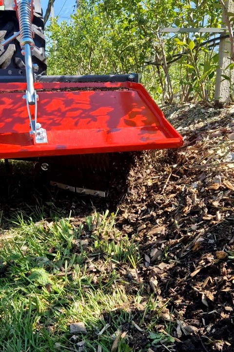 Heidelbeeren Damm jäten Unkrautregulierung