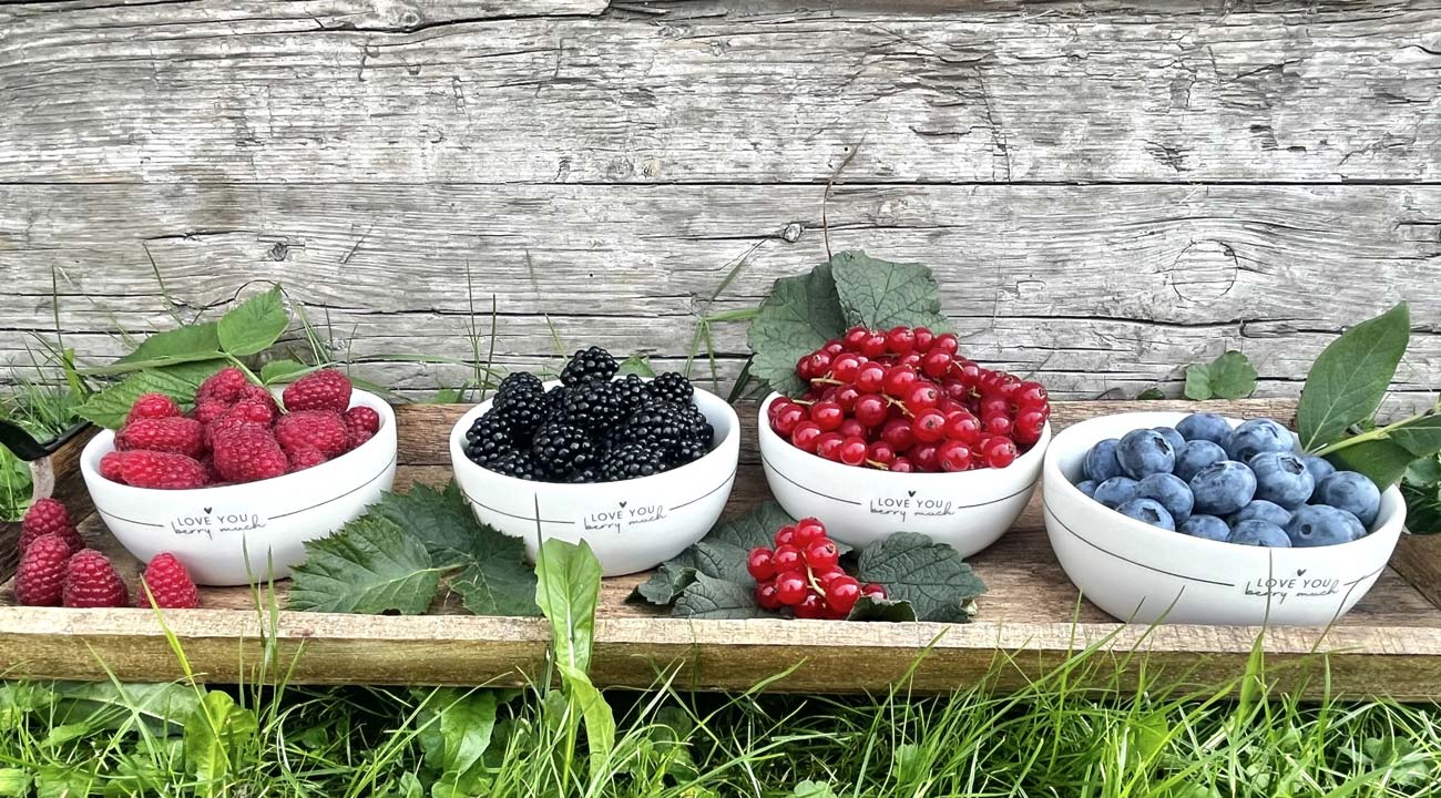 Kuppelwieser Beeren